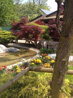 Agriturismo Casa Marini - Il parco e il laghetto