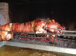 Specilità porchetta allo spiedo